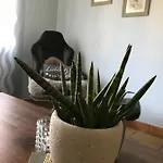Apartman Frevel *